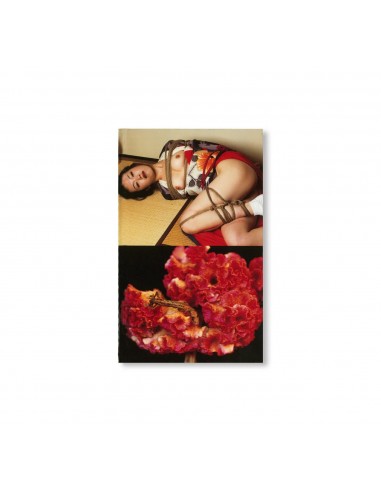 NOBUYOSHI ARAKI - HANA KINBAKU Profitez des Offres !