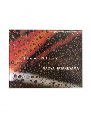 NAOYA HATAKEYAMA - SLOW GLASS Par le système avancé 